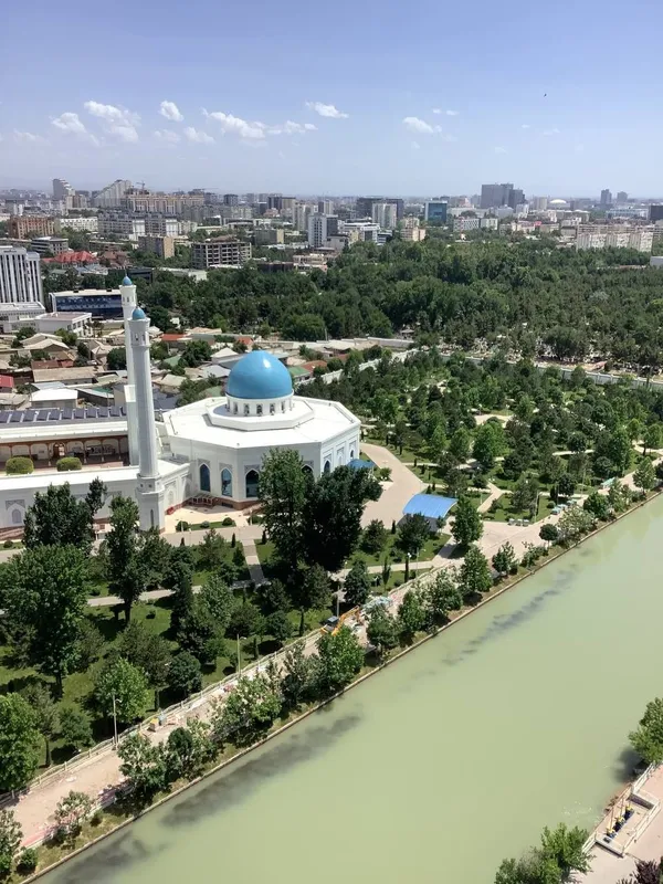 Сдается в аренду. Месеть минор. Анхор резиденс.