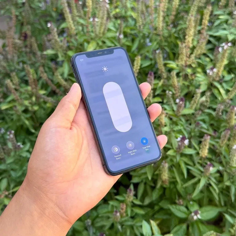 iPhone 11 Pro ideal 4 iPhone 11 Pro ideal 4