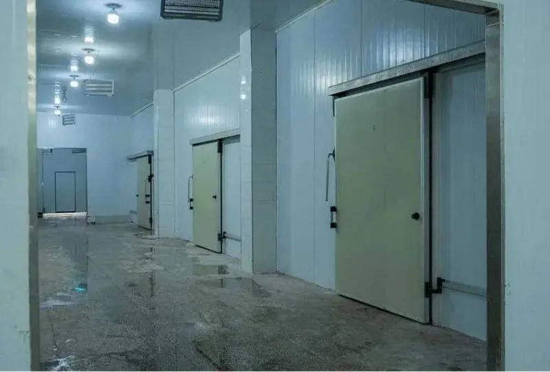 База-холодильник в Назарбеке 50-сот строения 18000 м² на 2000 тонн кур — фото 6
