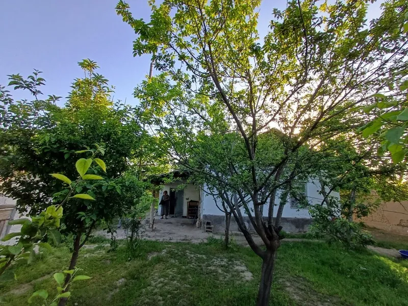 Продается дом 20 соток — фото 1