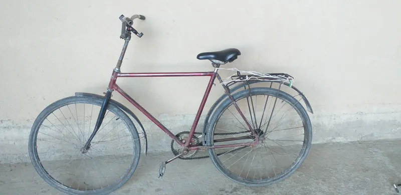 28 vilisiped soriladi