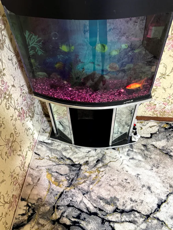 AKVARIUM 150L sotiladi 4