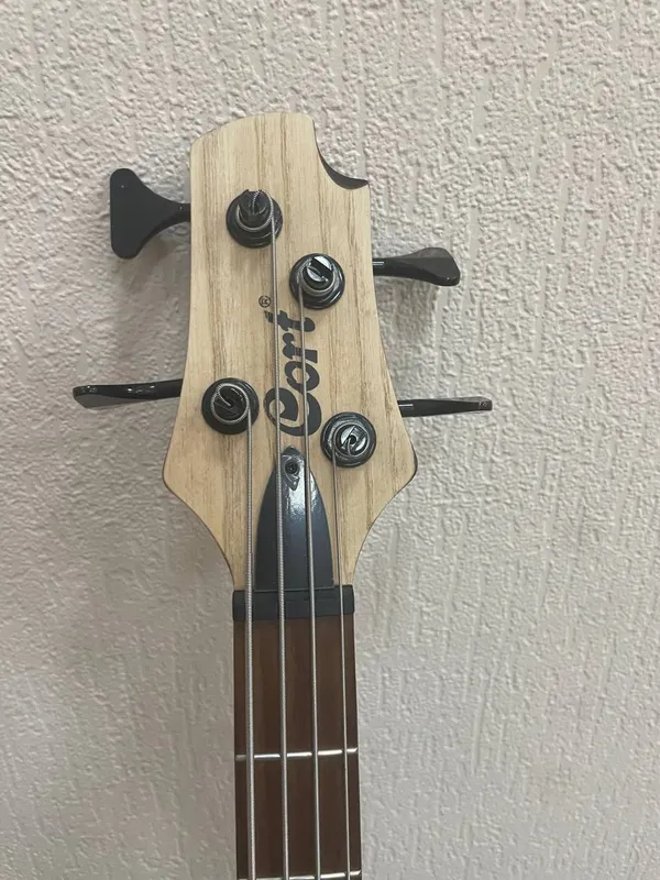 bass guitars — фото 3