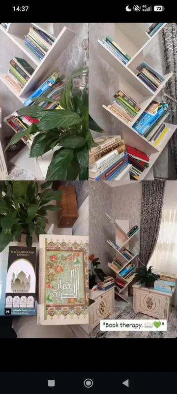 Современный книжный стеллаж Современный книжный стеллаж