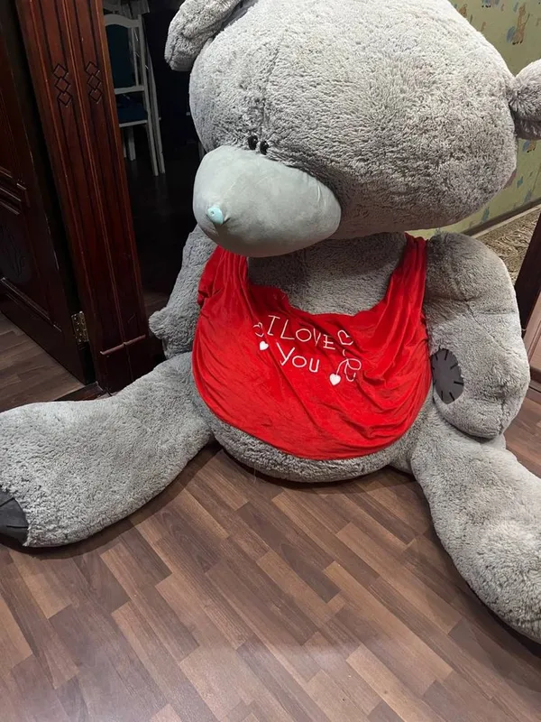 Тедди мишка/ Teddy bear 2 Тедди мишка/ Teddy bear 2