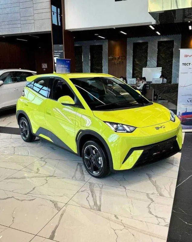 Byd Seagull naxt va halol nasyaga 2