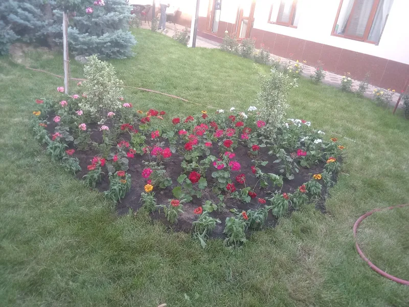 Садовник богбон Уборщик тозаловчи Обработка — фото 2
