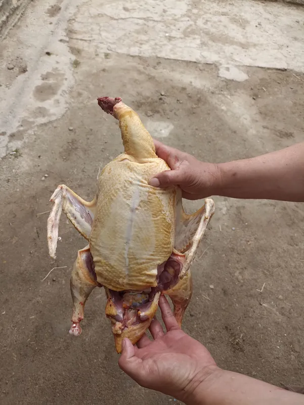 Продаётся мясо индоутки, можем зарезать и почистить 3 Продаётся мясо индоутки, можем зарезать и почистить 3