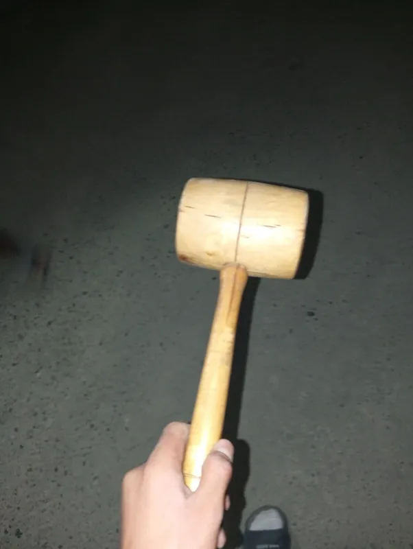 bolgʻa