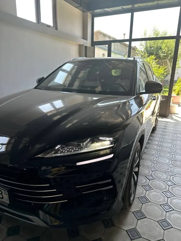 Byd song plus DM-i Champion 2024 yil 1 Byd song plus DM-i Champion 2024 yil 1