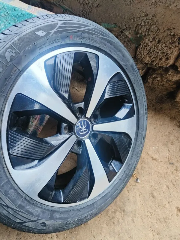 Byd song pulus diska baloni diska balon zapaska qliwga — фото 1