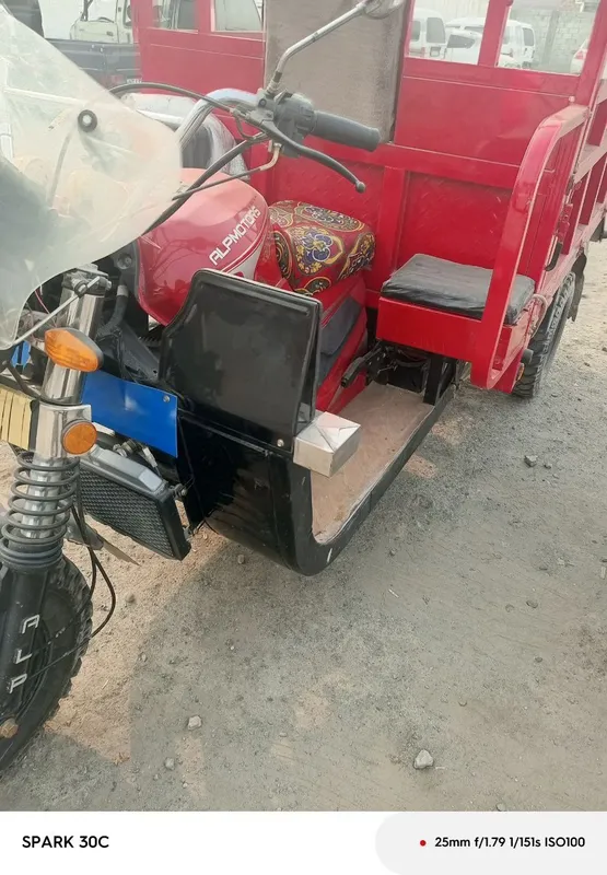 Alpmotors 2025 yil