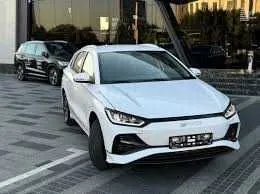 byd e-2 pad zakaz