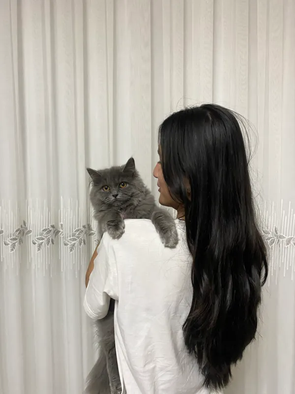 Котёнок, кошки 2