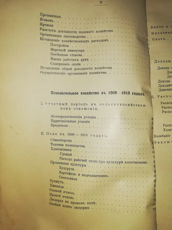 Носков "Хлопковое хозяйство в голодной степи" 1914 г. — фото 2