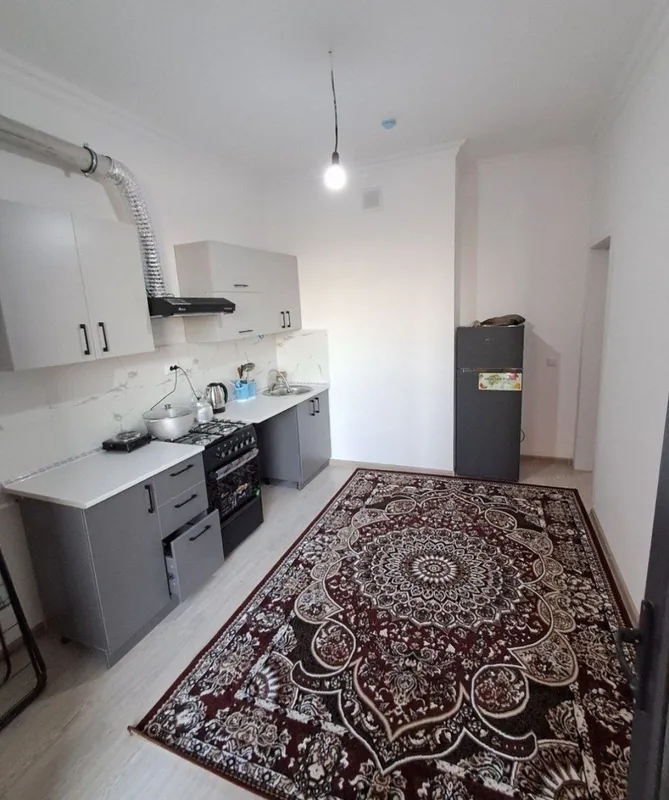 Чиланзар Мирзо Улугбек метро 230$ 9