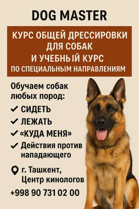 Дрессировка собак и груминг — фото 2