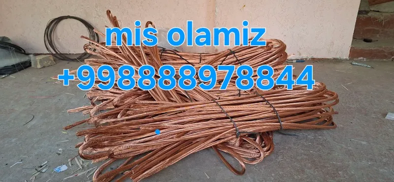 Mis olamiz