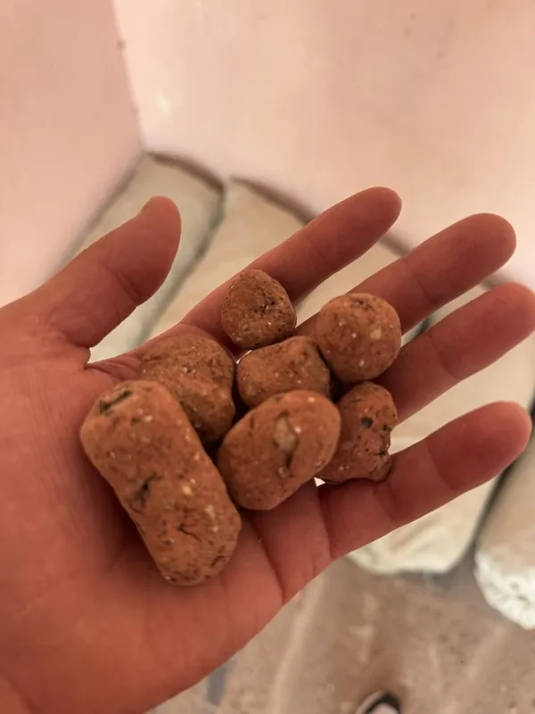 Dekaratsiya uchun maxsus Toshkent shahar va Viloyatlarga — фото 1