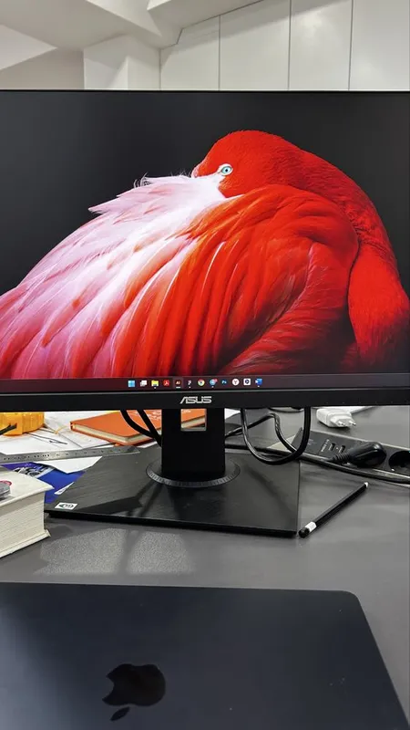 Монитор ASUS 24 диагональ