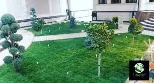 Gazon ekish xizmati 3