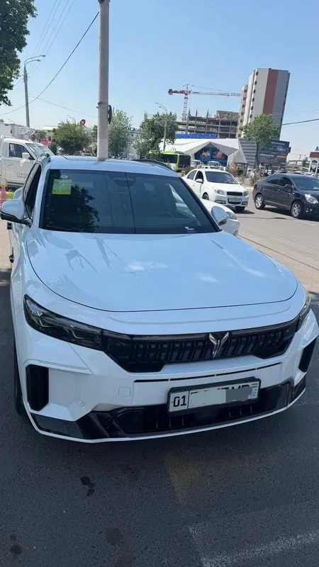 Voyah fee full 318 1 Voyah fee full 318 1