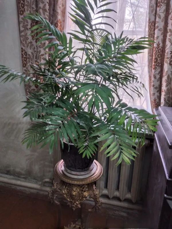 Продаётся. Комплектация — фото 3 Продаётся. Комплектация — фото 3