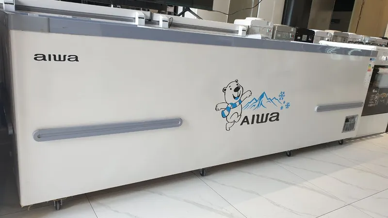 Морозильник Muzlatgich Aiwa