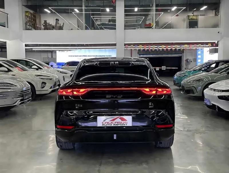 BYD Song L 2025 1 Год гарантии — фото 3