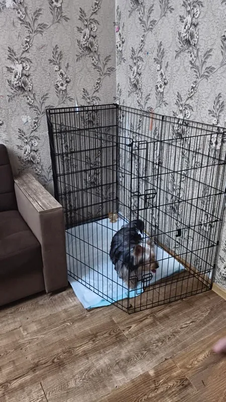 продам Ваьер для собак — фото 1