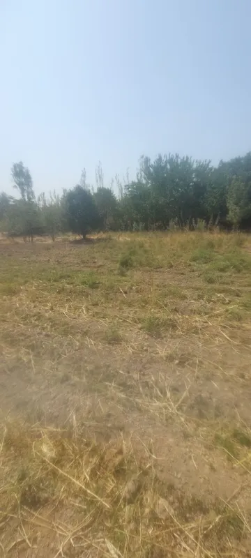 yer sotilvoti 15 sotik narxini keliwamiza yer sotilvoti 15 sotik narxini keliwamiza