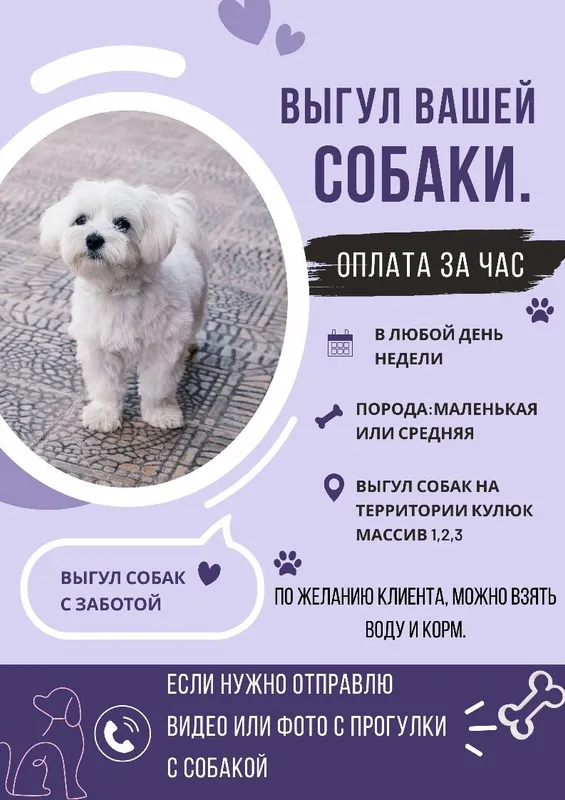 Выгул собак.на Кулюйке массив 1 2 и 3