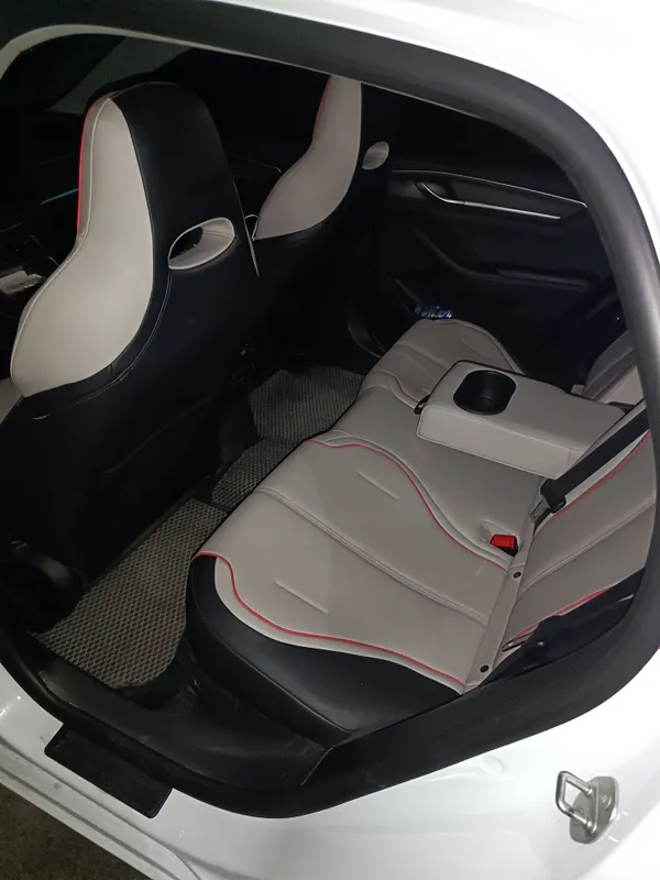 byd chazor GIBRID 8 byd chazor GIBRID 8