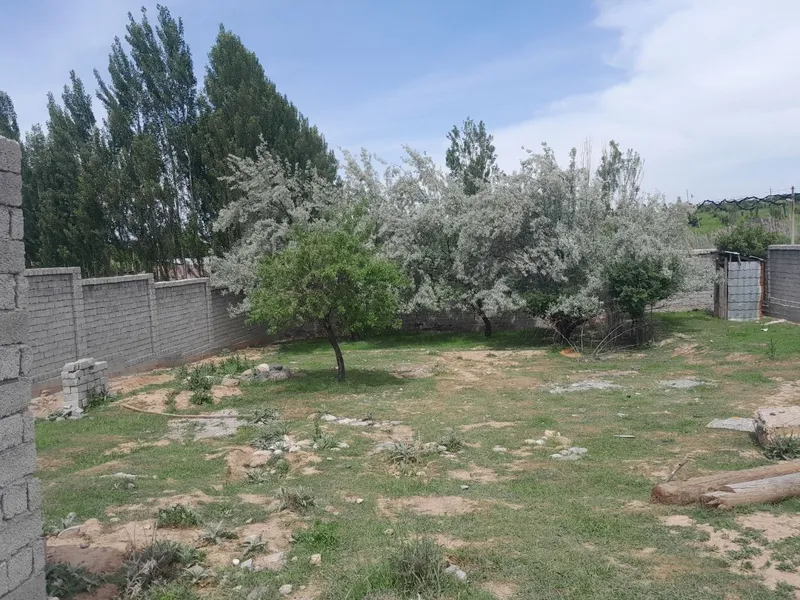 Mayiskida 6 sotiq sotiğini narxi 2.700$ dan — фото 2