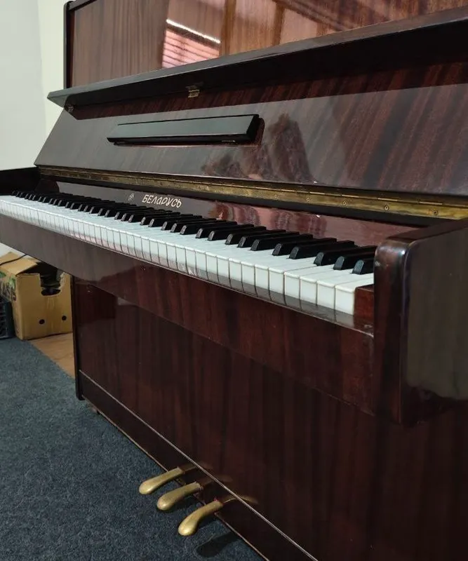 PIANINO BELORUS ULTRA PRO MAX 5