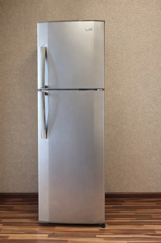 LG No frost muzlatkich 1