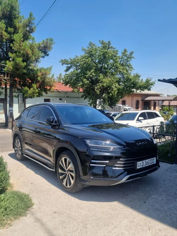 Byd champion, 150 шт. 3 Byd champion, 150 шт. 3