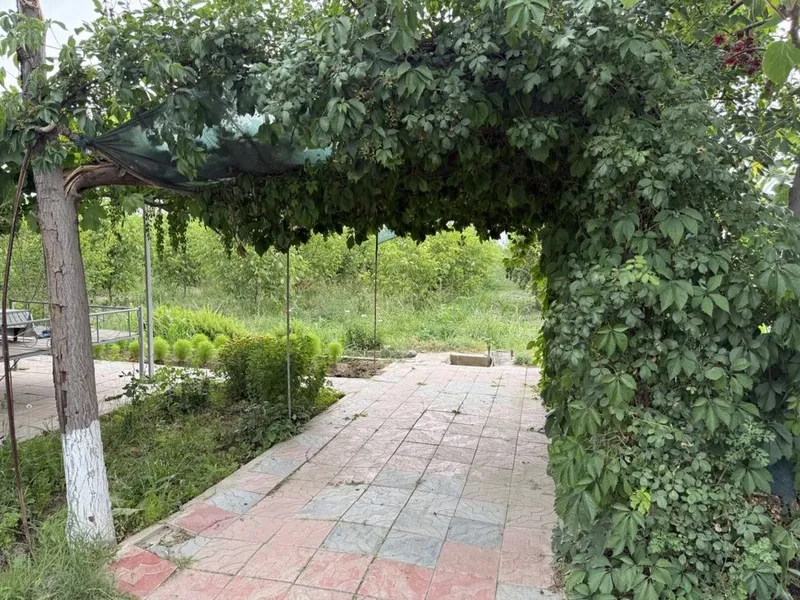 2 gektar maydonga ega bog‘ sotiladi.