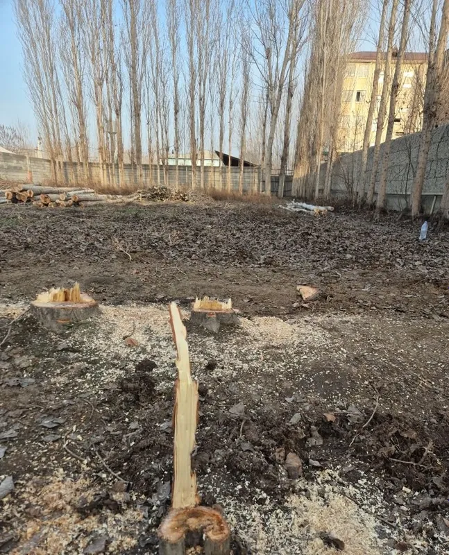 Тошлок, махалля Хотинками, улица Орият, 10. 2 Тошлок, махалля Хотинками, улица Орият, 10. 2