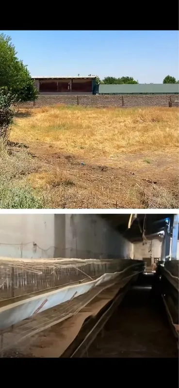 70 sotix Ferma majmuasi | Tayyor biznes | Oltinsoy | Kadastr tayyor 9 70 sotix Ferma majmuasi | Tayyor biznes | Oltinsoy | Kadastr tayyor 9