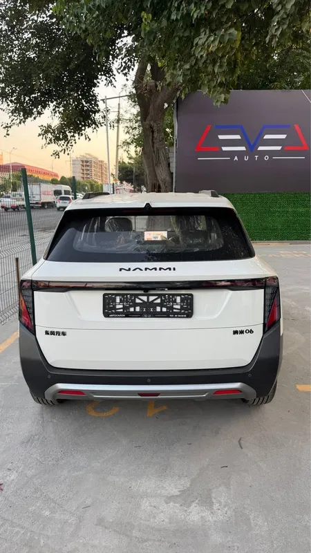 Dongfeng nammi 06 air