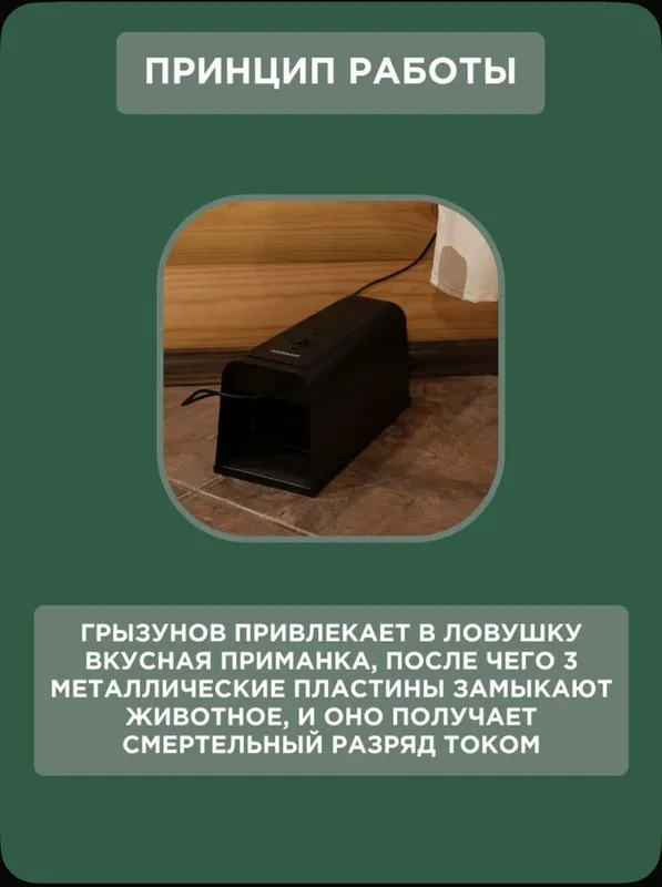 Электрическая крысаловка -мышеловка без мучений грызунов — фото 3