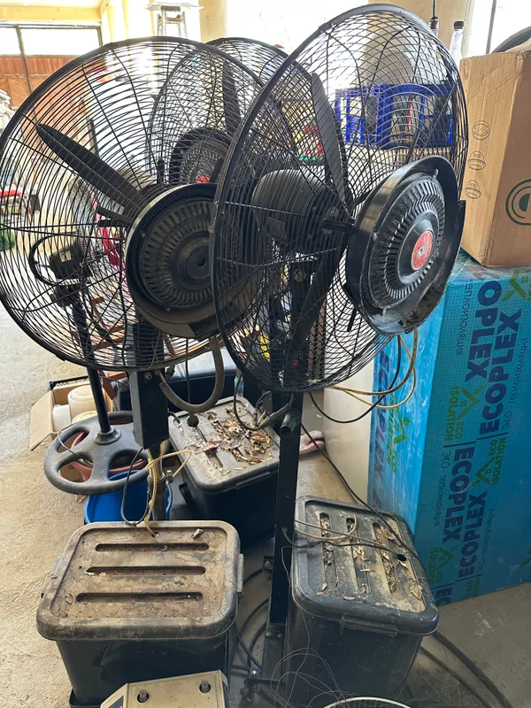 Ventilyator