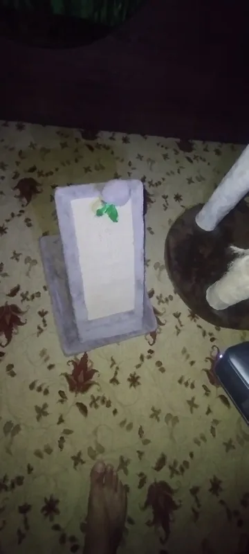 Кошкин дом, домики для кошек 2 Кошкин дом, домики для кошек 2