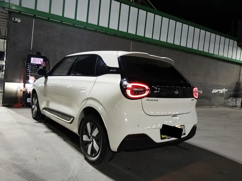 Dongfeng nammi 01 3