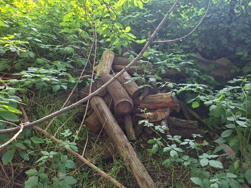 Дрова из черешневого сада