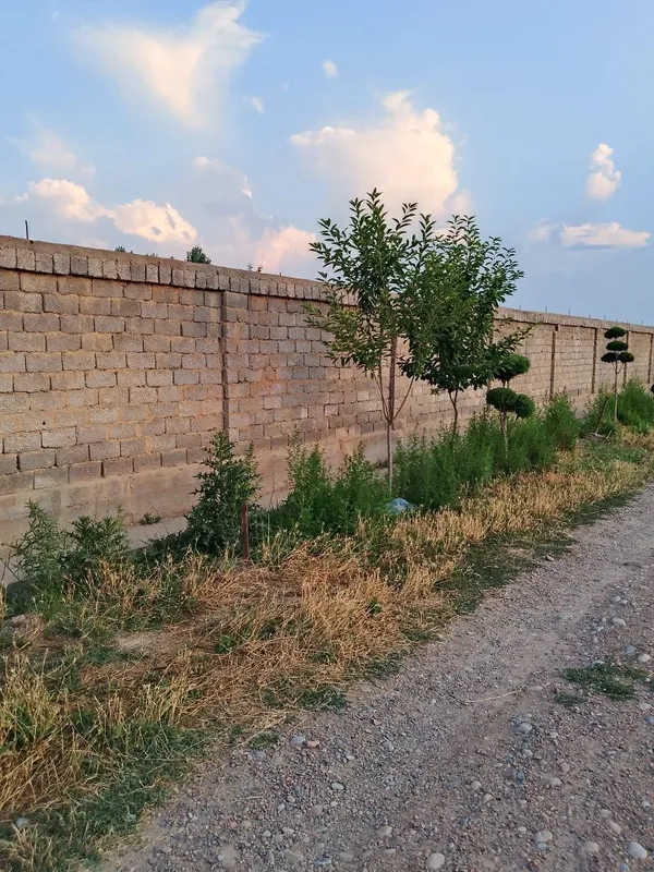 Ер сотилади 7500 евро — фото 1