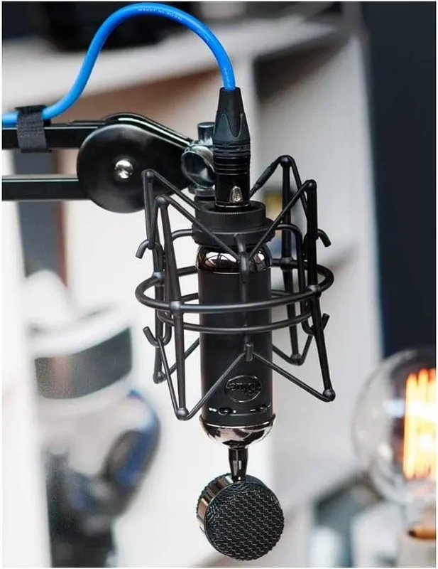 Профессиональный Конденсаторный микрофон Blue Blackout Spark Sl XLR — фото 2