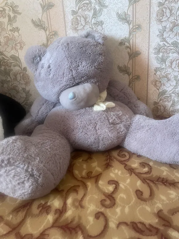 Teddy ayiq sotiladi