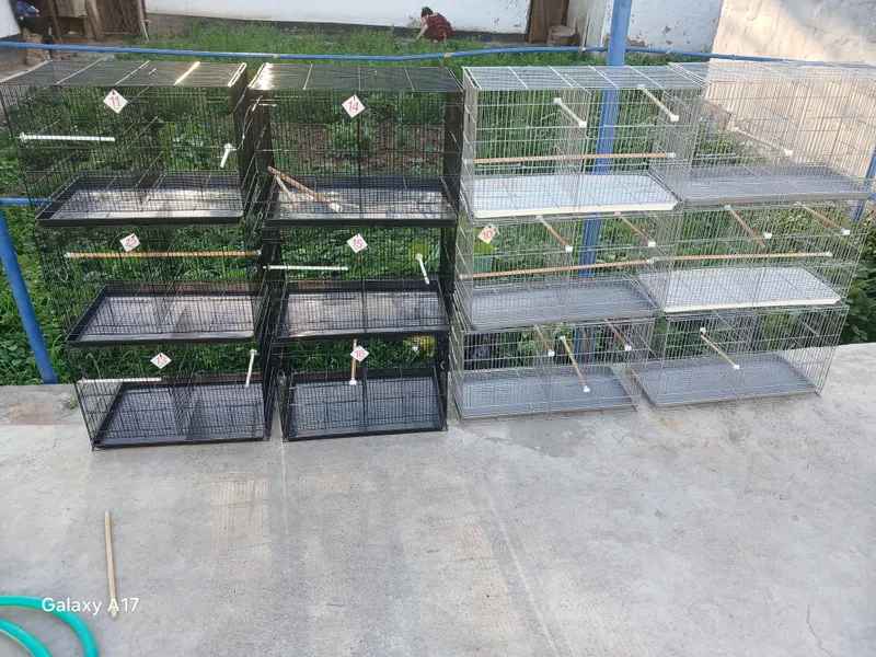 Продаётся клетка паровка 1 Продаётся клетка паровка 1